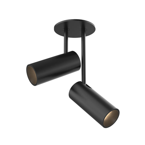 Downey 2 Adjustable Spot Ceiling Light - Lumendat