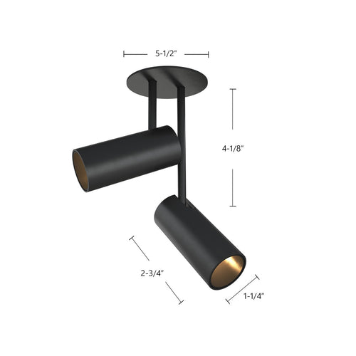 Downey 2 Adjustable Spot Ceiling Light - Lumendat