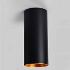 Eilin Cylindrical LED Ceiling Light, Aluminum