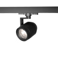 LED Track Head from the Paloma collection in Black finish - Lumendat