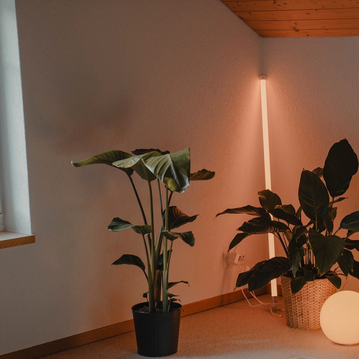 Neon Tube Floor Lamp - Lumendat